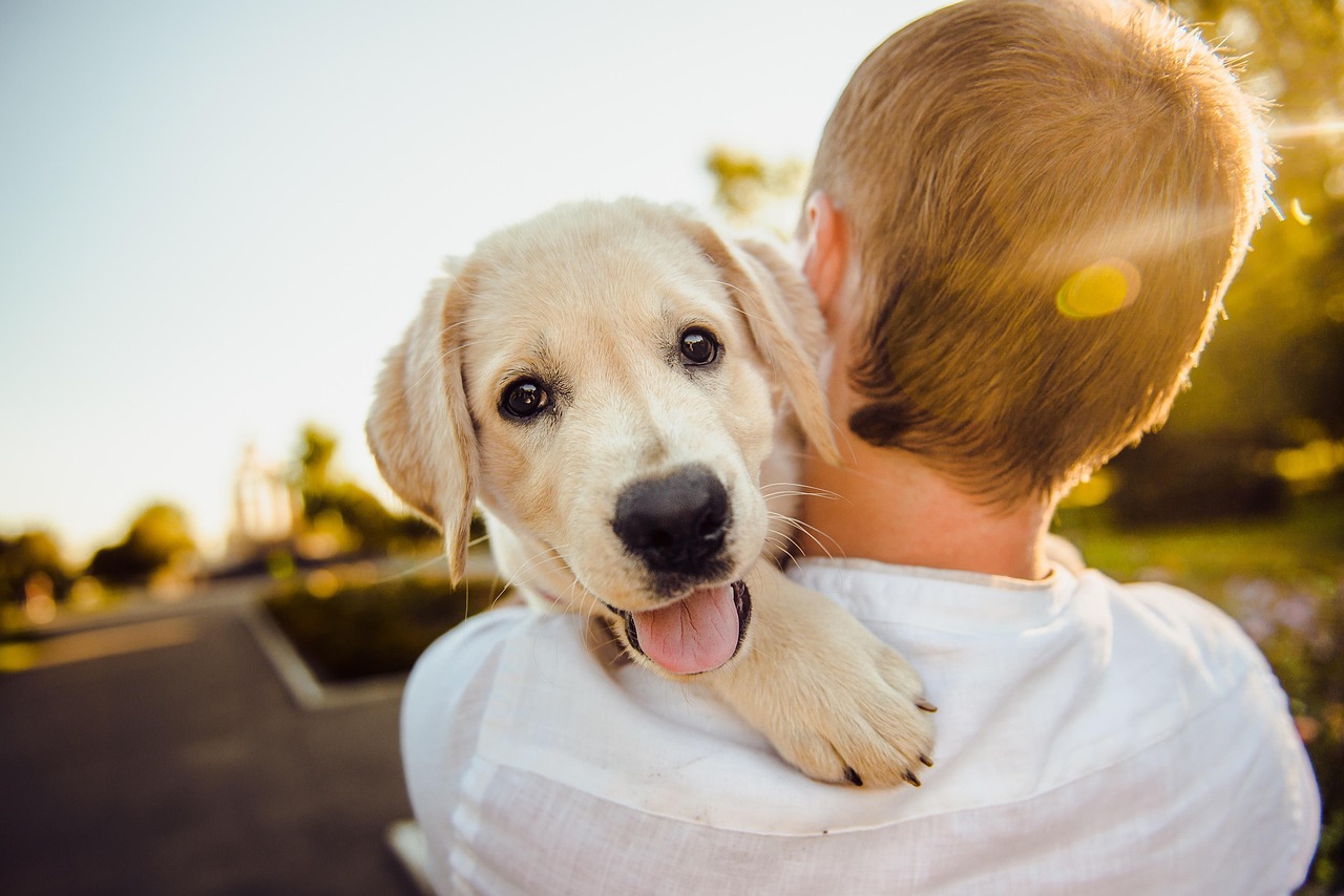 pet-friendly-adu